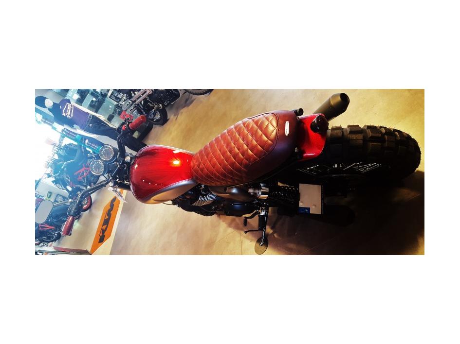 Red Light Bastard